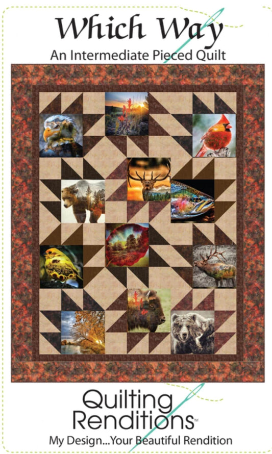 Which Way by Kari Nichols from Quilting Renditions - instructions for 3 sized included.