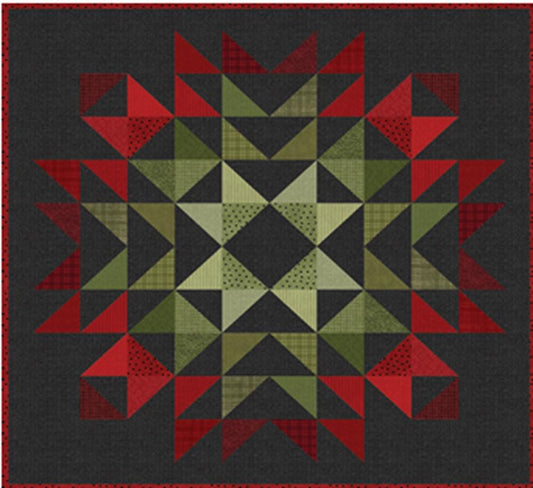 Starburst Quilt Kit - Pattern by Bonnie Sullivan. Includes Pattern + Fabric to piece this gorgeous top. Approx size 44" x 44" Free Ship